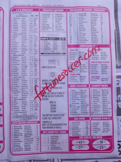 week 16 pools telegraph 2024 page 14