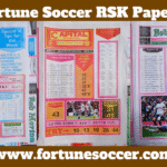 RSK Papers Brown